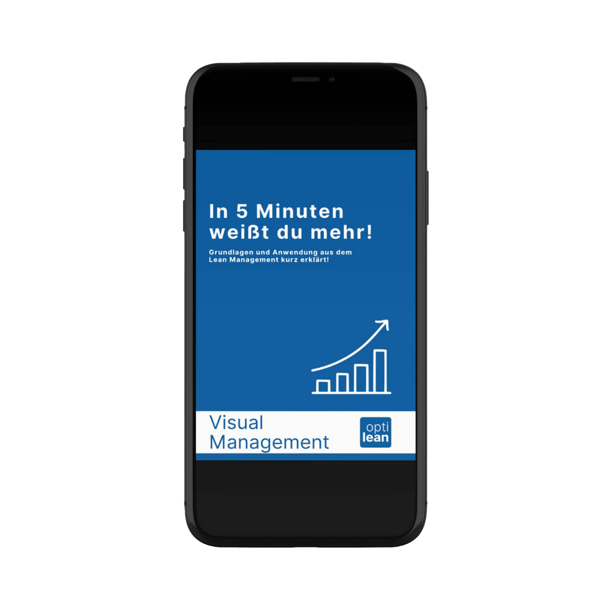 E-Book Visual Management