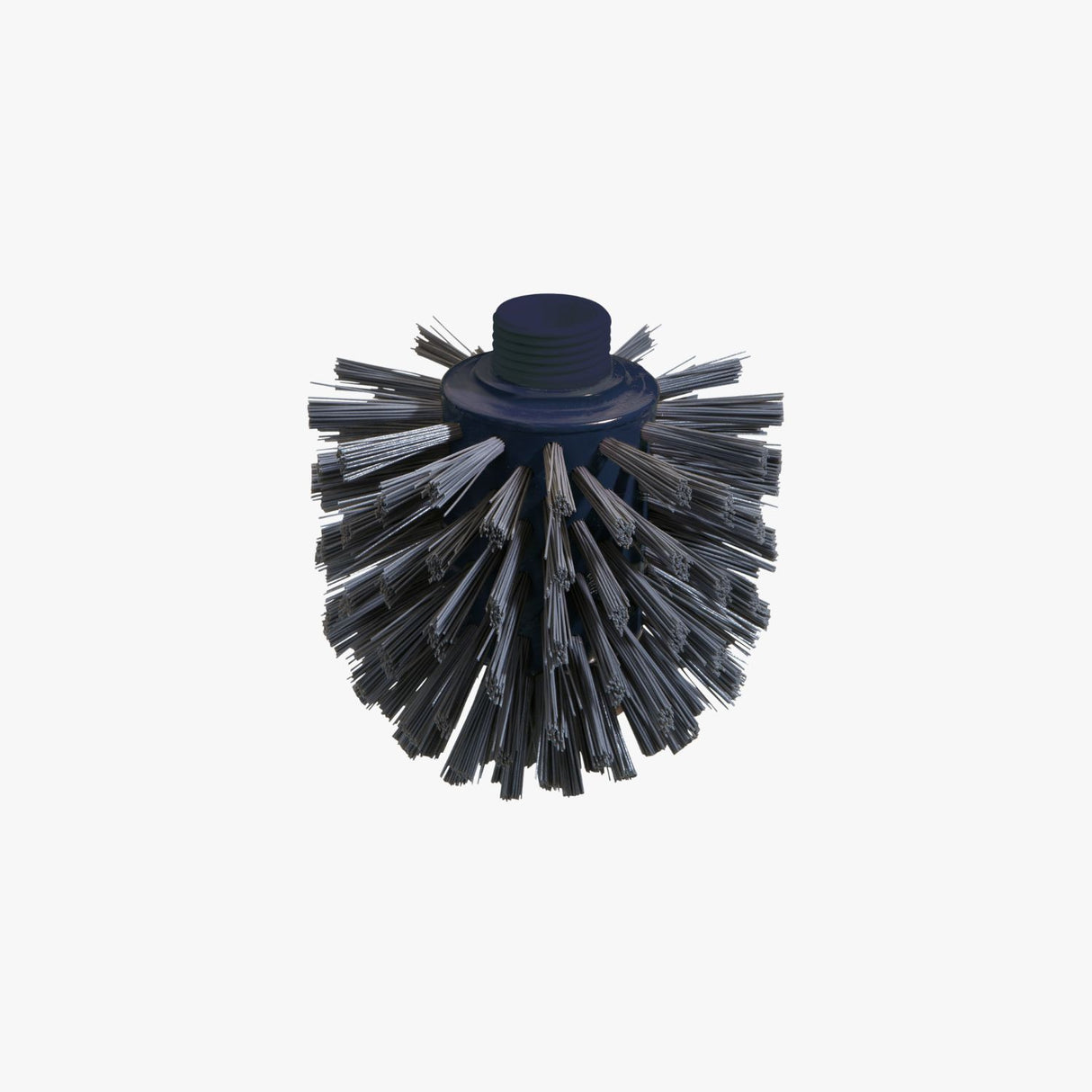 Detektierbar Wolfsbürste Blau