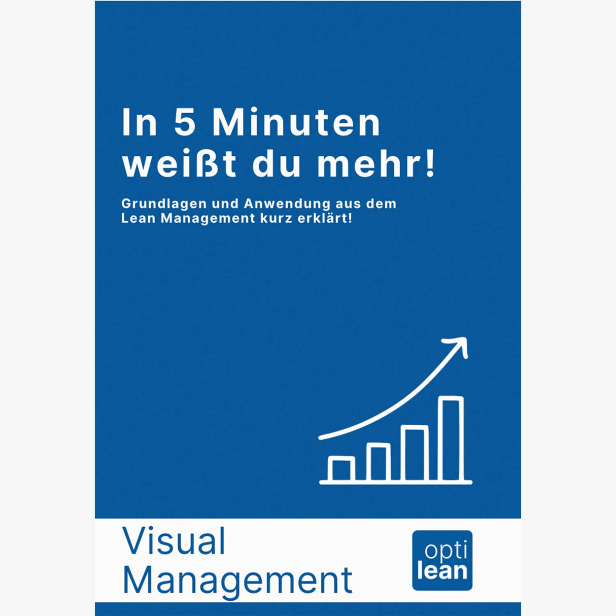 E-Book Visual Management