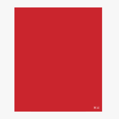 Schattenwand 1.60 m x 1.90 m zum Konfigurieren Rot