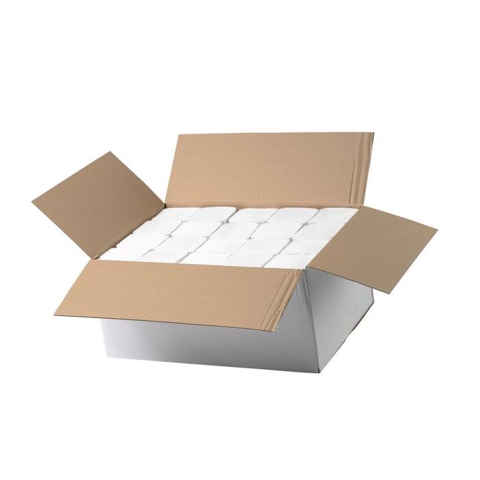 Original-Produktfoto: geöffneter Karton Papernet STANDARD ECO mit 15 Packungen Falthandtüchern